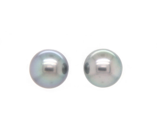 14.0 MM Black Tahitian Pearl Stud Earrings in 14K