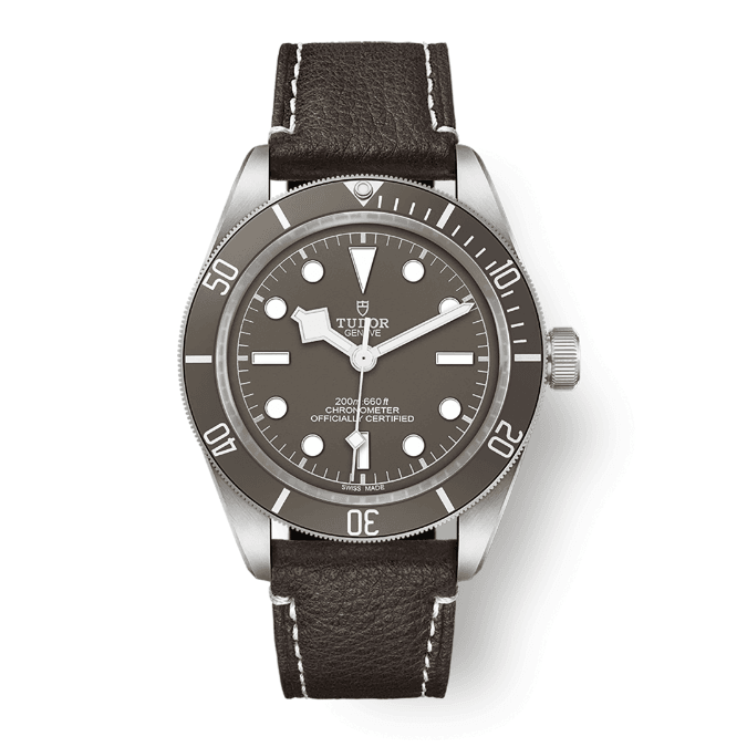 Tudor Black Bay Fifty-Eight 925 M79010SG-0001